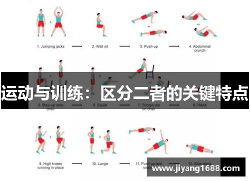 运动与训练：区分二者的关键特点